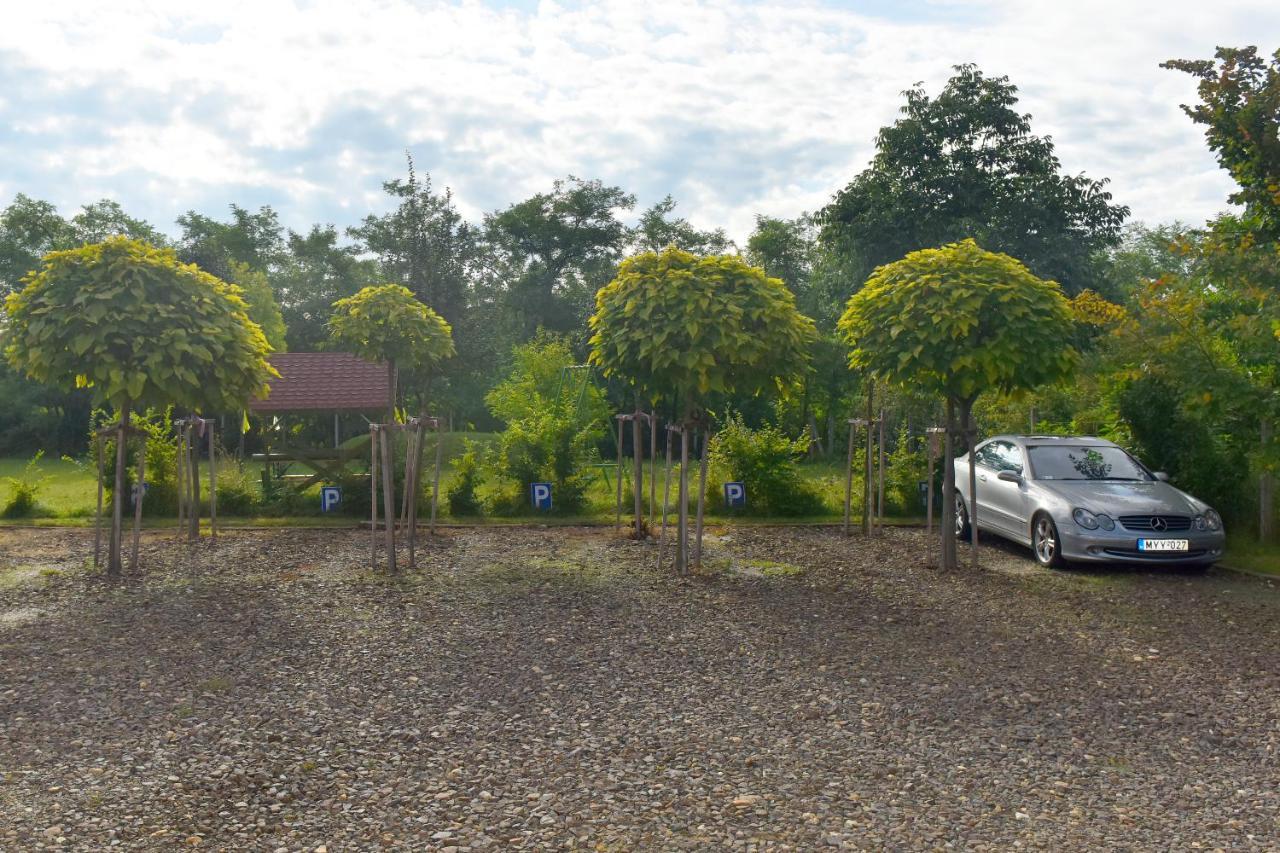 Nyakiglab Villa Szegi エクステリア 写真