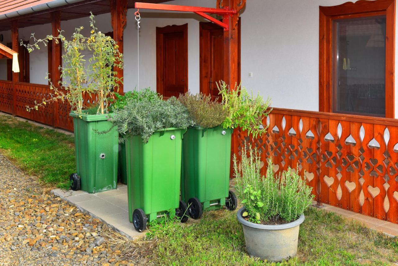 Nyakiglab Villa Szegi エクステリア 写真