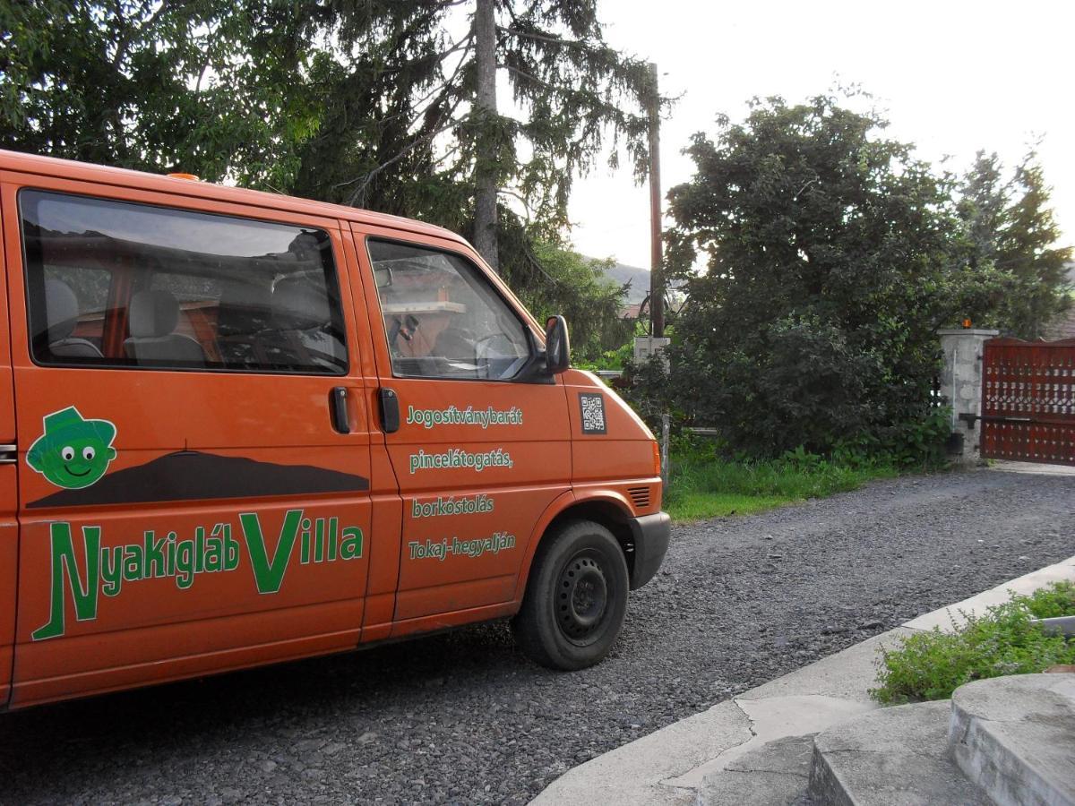 Nyakiglab Villa Szegi エクステリア 写真